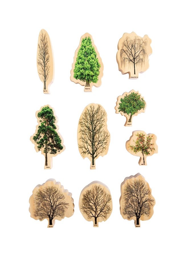 THE FRECKLED FROG Wooden Seasons Trees - Image 3